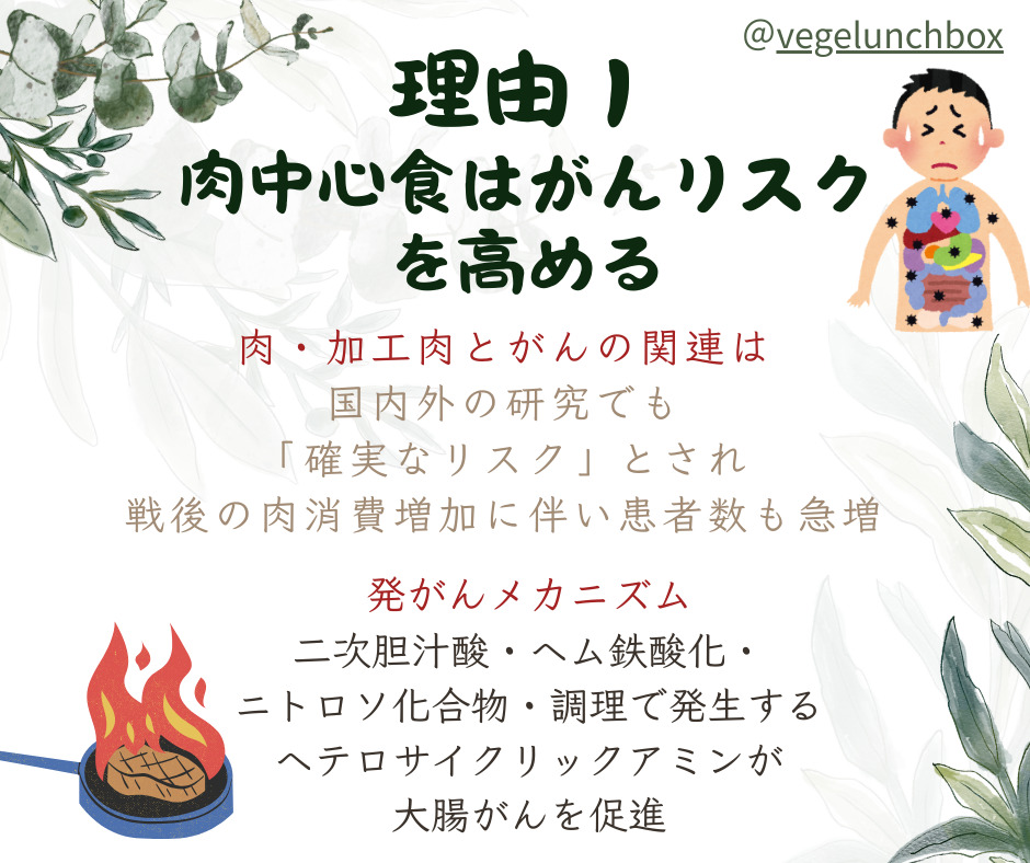 肉を食べない理由~肉中心食はがんリスクを高める