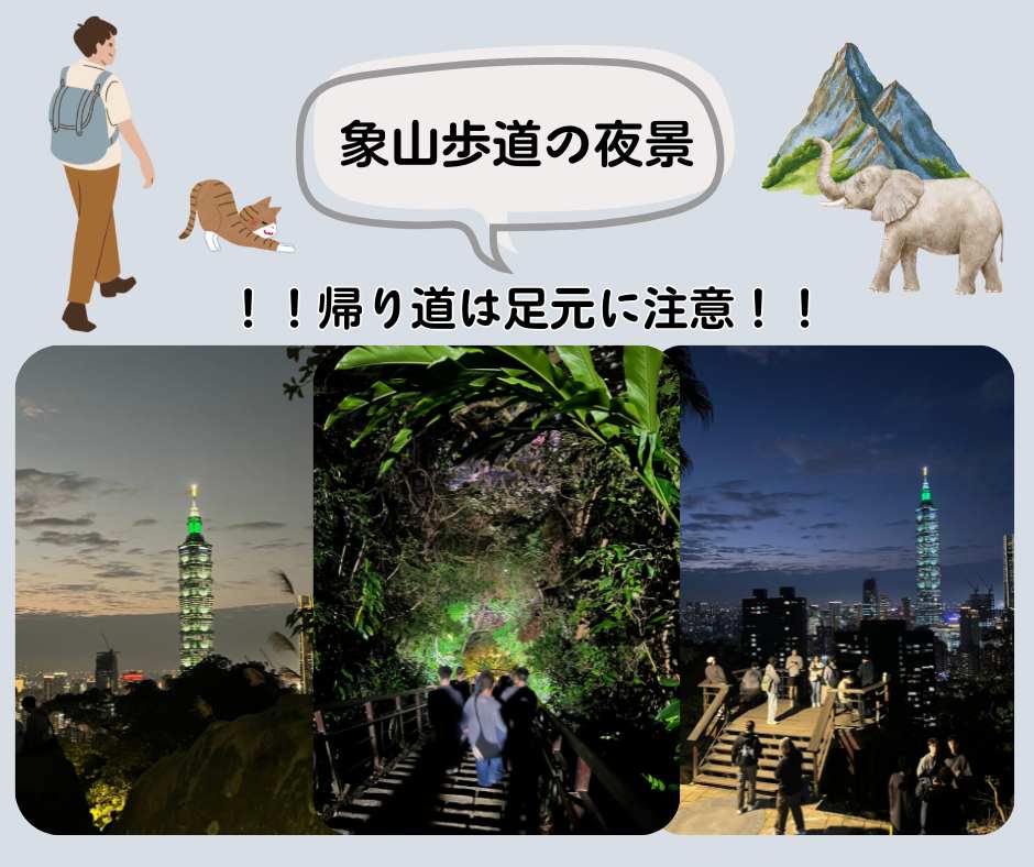 台北散策の象山歩道～夜道に気を付けてね